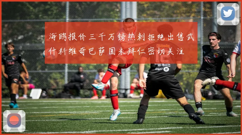 海鸥报价三千万镑热刺拒绝出售武什科维奇巴萨国米拜仁密切关注