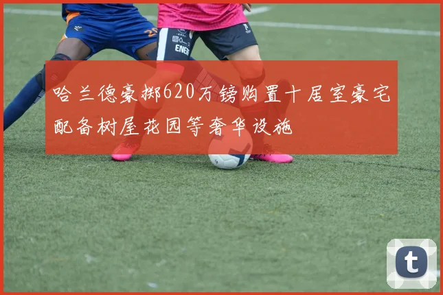哈兰德豪掷620万镑购置十居室豪宅配备树屋花园等奢华设施