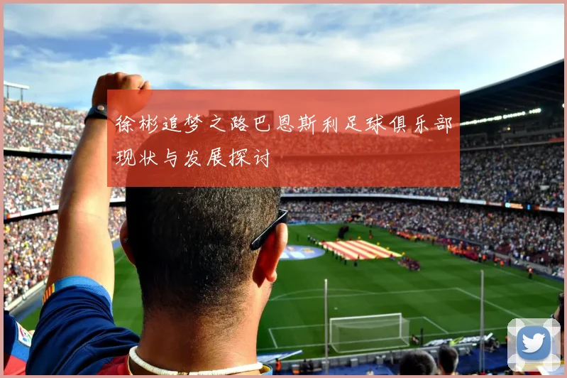 徐彬追梦之路巴恩斯利足球俱乐部现状与发展探讨